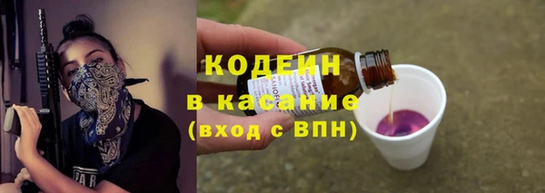 ECSTASY Алзамай