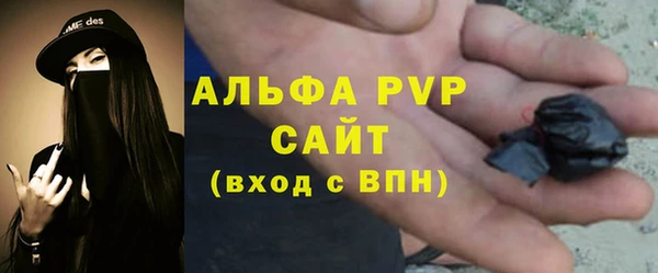 ECSTASY Алзамай