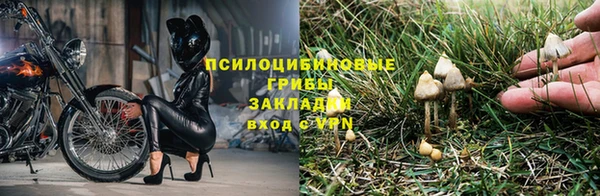 ECSTASY Алзамай