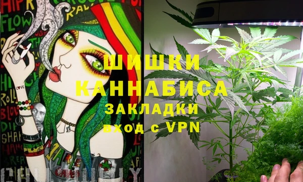 ECSTASY Алзамай