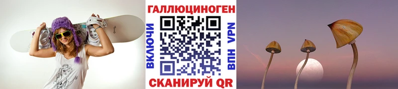 цены Когалым Псилоцибиновые грибы Cubensis