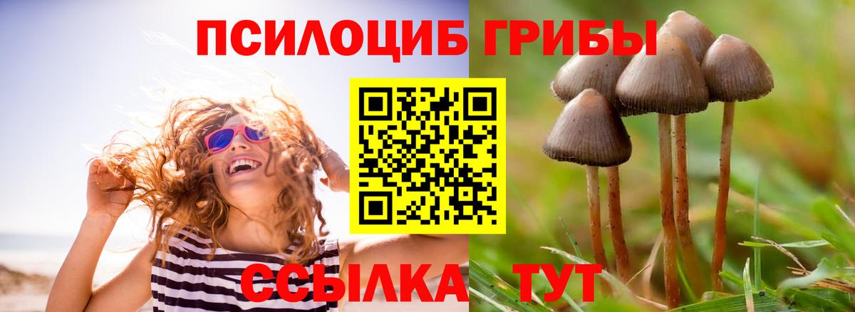 Псилоцибиновые грибы GOLDEN TEACHER Когалым
