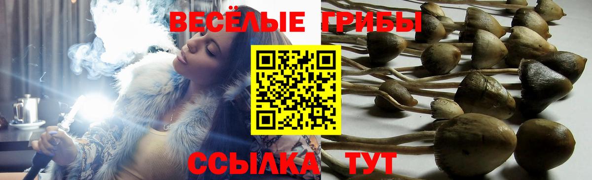Псилоцибиновые грибы ЛСД  дарнет шоп  Когалым  Псилоцибиновые грибы мицелий  Вход с VPN 